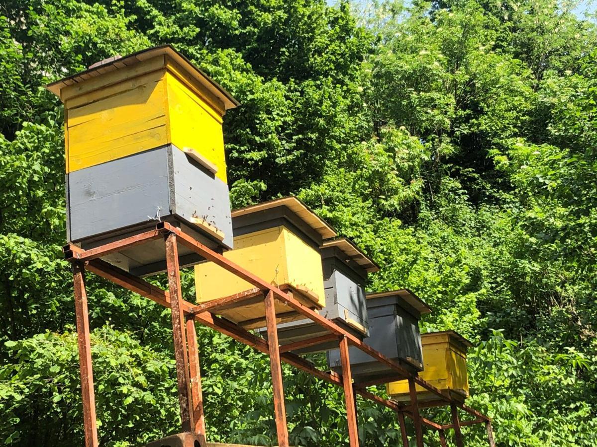 Chalet קבריאטי מראה חיצוני תמונה